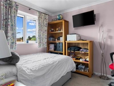 Picture 17